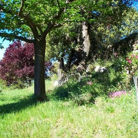 Appartamento De 2 Chambres Avec Piscine Partagee Et Terrasse Amenagee A Valleraugue